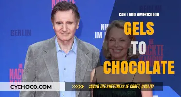 Enhancing Chocolate Creations: The Art of Using AmeriColor Gels