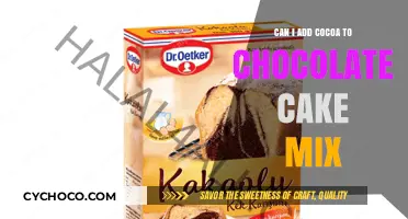 Elevate Your Baking: The Art of Adding Cocoa to Chocolate Cake Mix