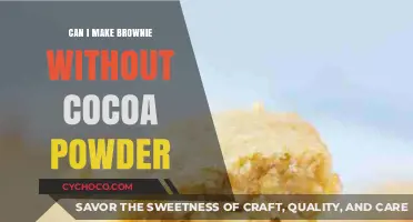 Decadent Brownie Delight: Cocoa Powder Not Required!