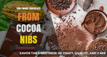 From Nib to Bar: The Journey of Making Chocolate at Home