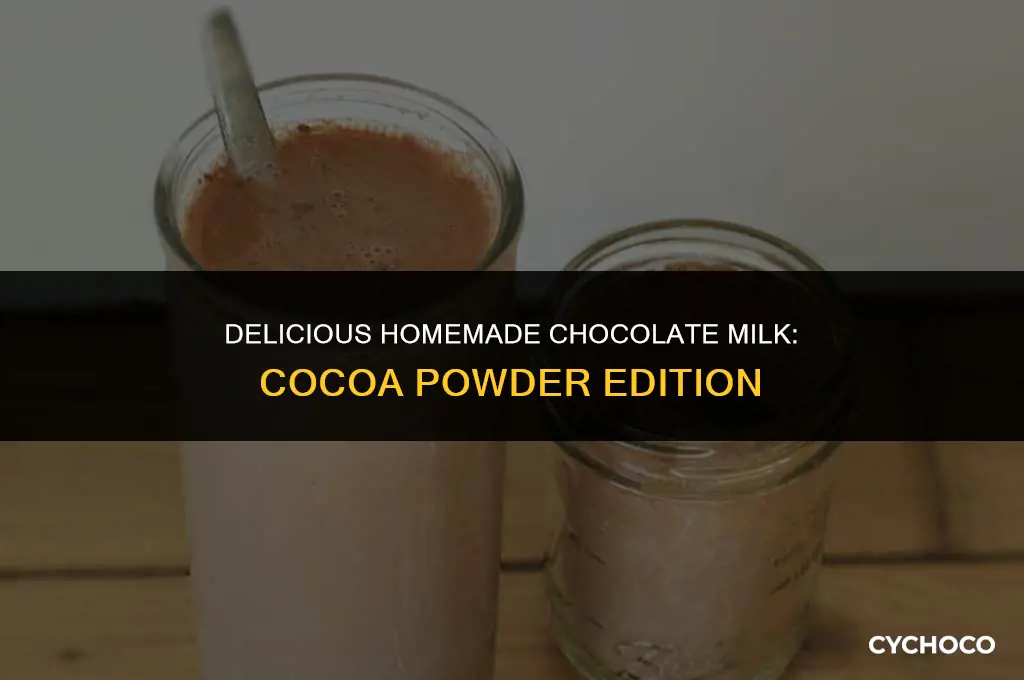 can i make chocolate milk with cocoa powder