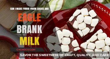 Sweet Success: Crafting Creamy Fudge with Cocoa and Eagle Brand Milk