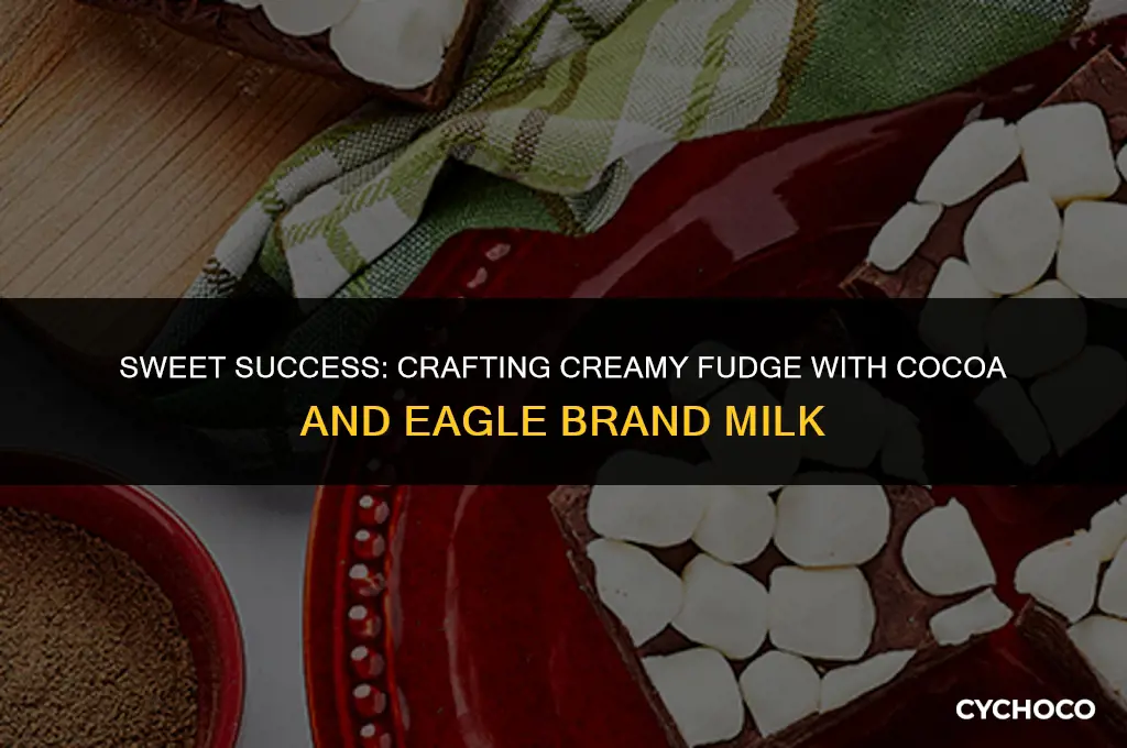 can i make fudge from cocoa and eagle brank milk