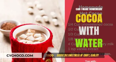 Homemade Cocoa Delight: Water-Based Recipes to Warm Your Soul