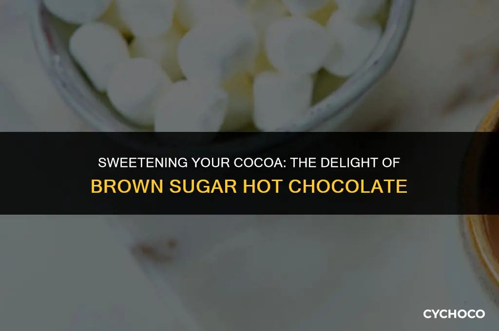 can i make hot cocoa with brown sugar