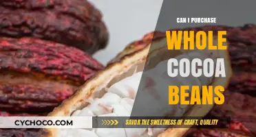 Exploring the Richness of Whole Cocoa Beans: A Buyer's Guide