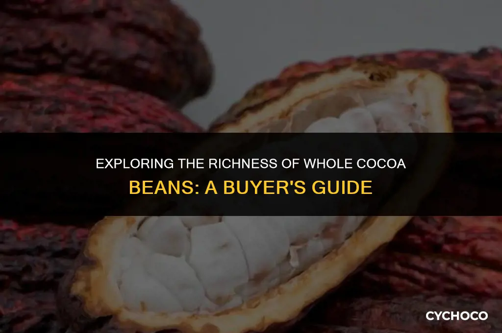 can i purchase whole cocoa beans