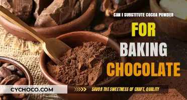 Sweet Substitutions: Can Cocoa Powder Replace Baking Chocolate?