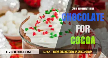 Hot Chocolate vs Cocoa: Interchangeable or Not?