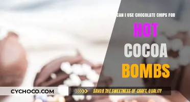 Sweet Fusion: Chocolate Chips in Hot Cocoa Bombs - A Match Made in Heaven?