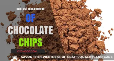 Sweet Substitutions: Can Cocoa Powder Replace Chocolate Chips?
