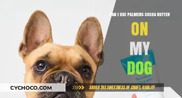 Is Palmer's Cocoa Butter Safe for Dogs? A Pet Owner's Guide