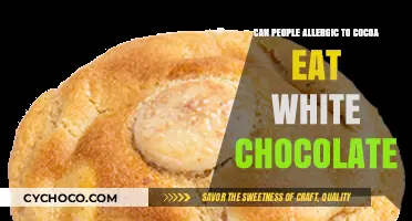 Exploring White Chocolate: A Safe Haven for Cocoa Allergy Sufferers?