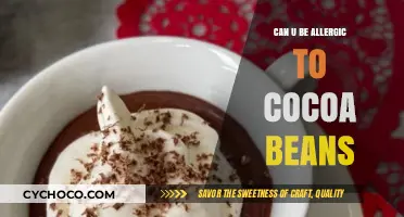 Unveiling Cocoa Allergies: Can You Be Allergic to Cocoa Beans?