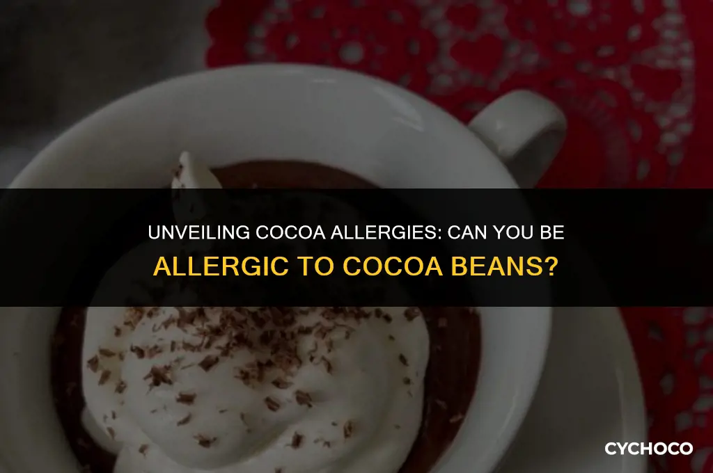 can u be allergic to cocoa beans