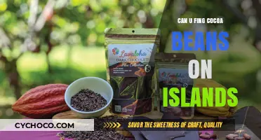 Exploring the Hidden Cocoa Bean Havens: Island Discoveries Unveiled