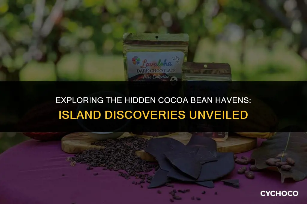 can u fing cocoa beans on islands