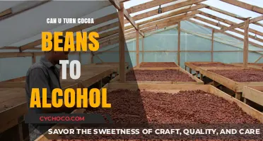 From Bean to Brew: The Art of Cocoa-Based Alcohol Infusions