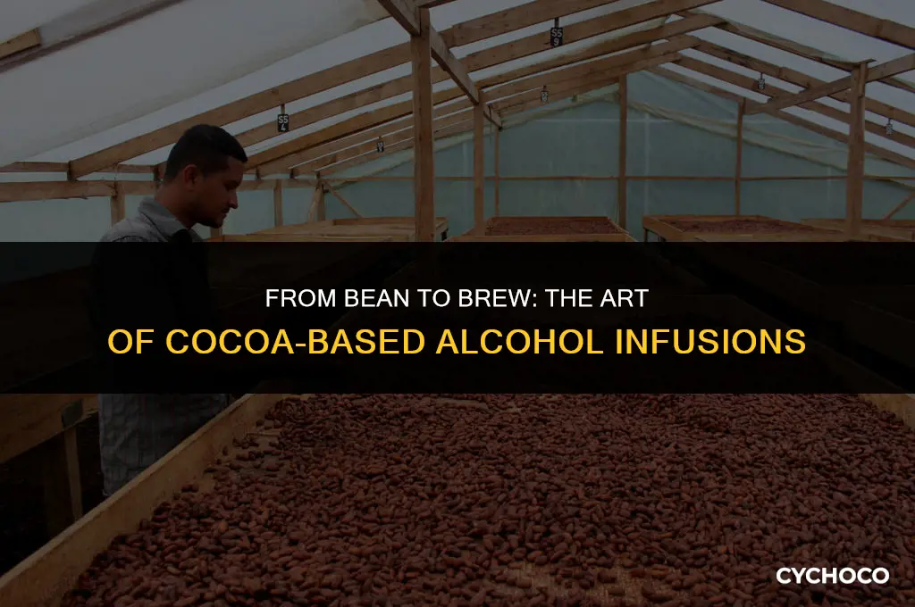 can u turn cocoa beans to alcohol