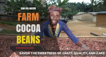 Exploring the Possibilities: Can Villagers Successfully Farm Cocoa Beans?