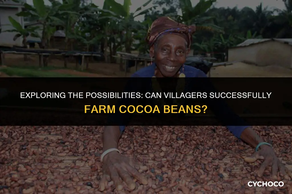 can villagers farm cocoa beans