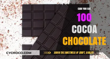 Indulging in 100% Cocoa: A Chocolate Lover's Guide