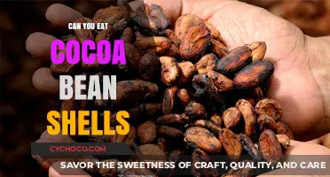 Unwrapping the Edibility of Cocoa Bean Shells: A Chocolate Lover's Guide