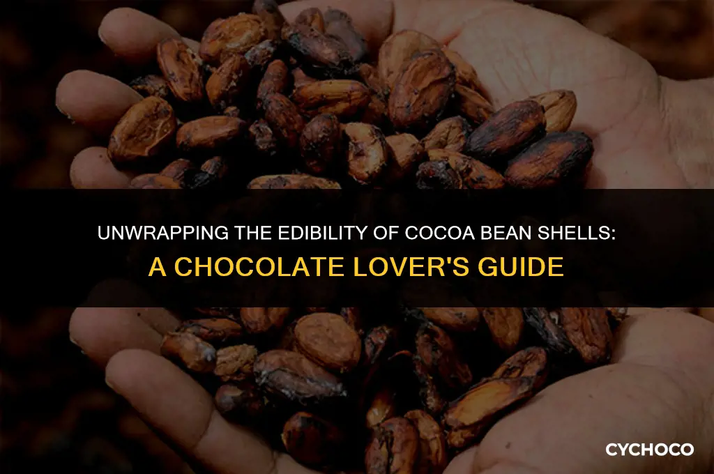 can you eat cocoa bean shells