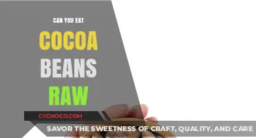 Can You Eat Cocoa Beans Raw? Uncovering the Truth and Benefits