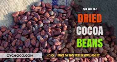 Exploring the Edibility and Benefits of Dried Cocoa Beans