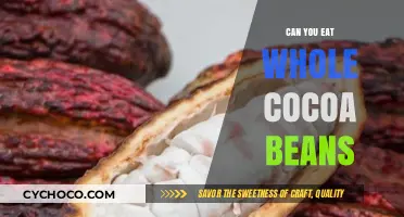 Exploring the Edibility of Whole Cocoa Beans: A Chocolate Lover's Guide