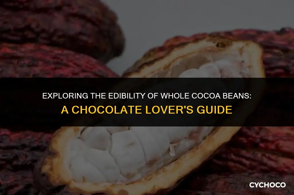 can you eat whole cocoa beans