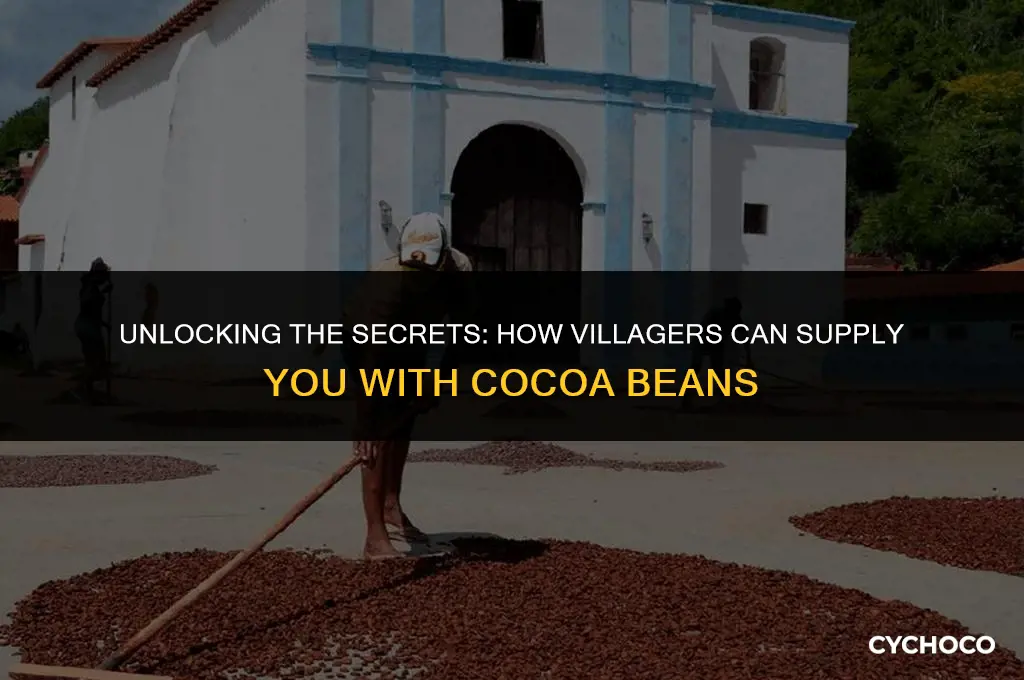 can you get cocoa beans from villagers