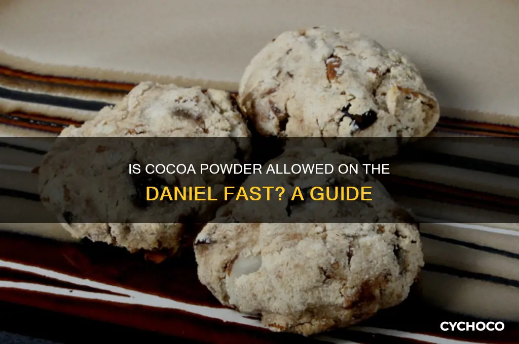 can you have cocoa powder on daniel fast