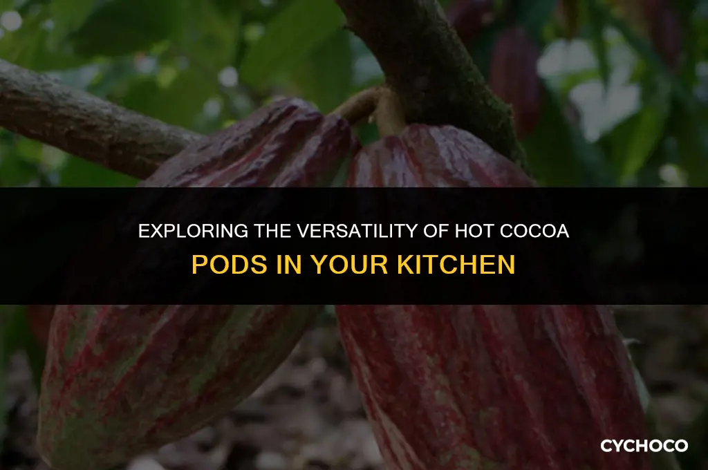 can you ise hot cocoa pod to make