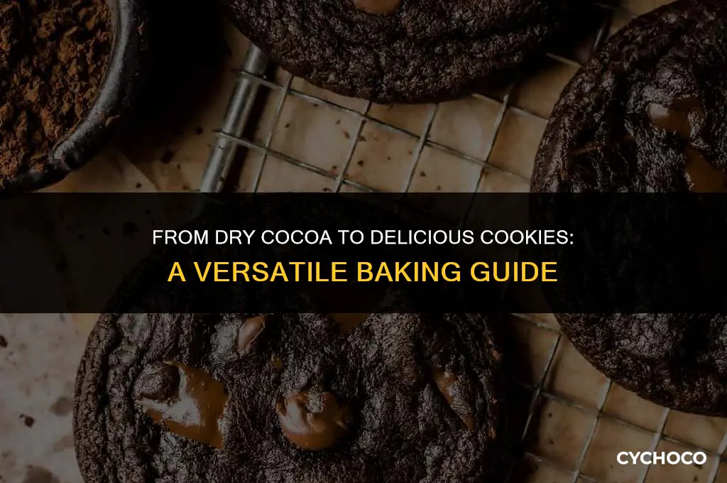 can you make any kind of cookies from dry cocoa