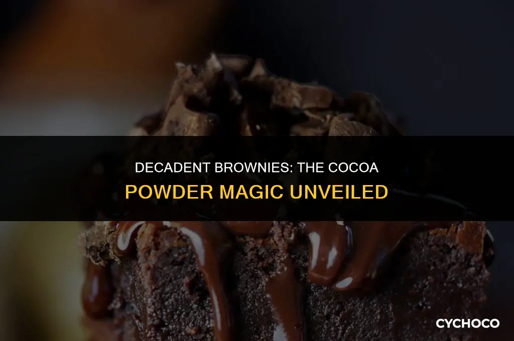 can you make brownies with cocoa powder
