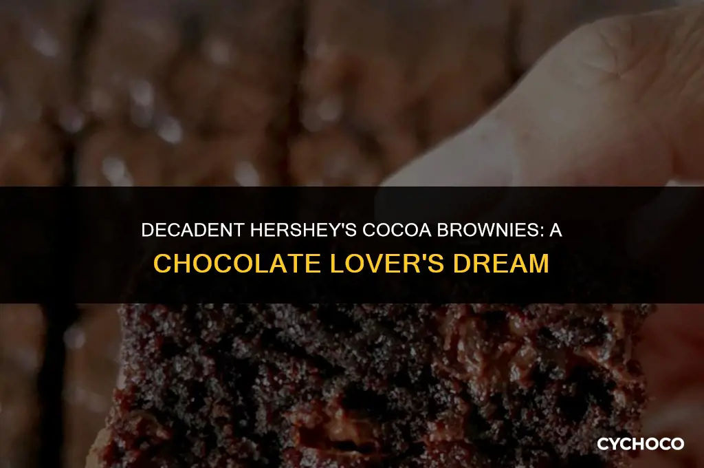 can you make brownies with hershey