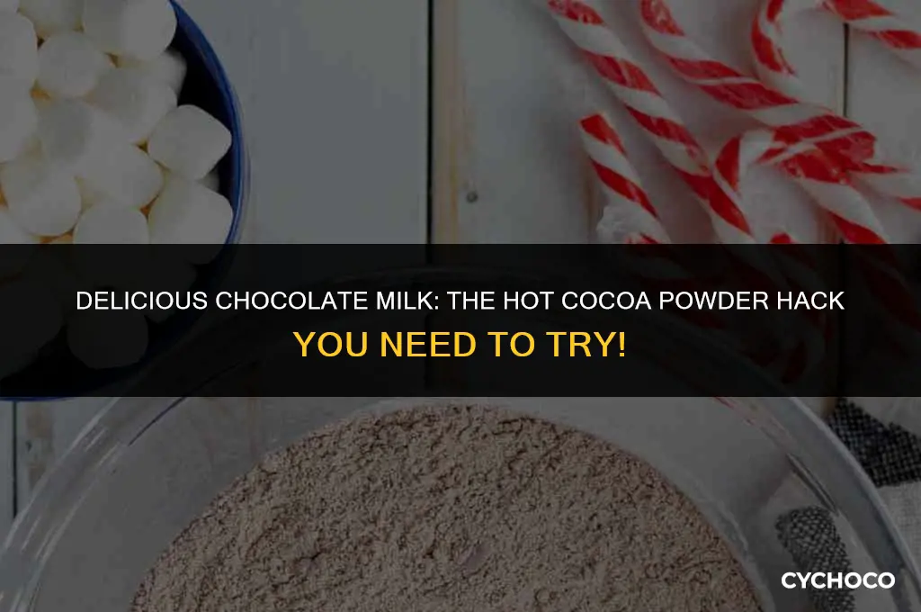 can you make chocolate milk with hot cocoa powder