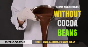 Exploring the Possibilities: Can Chocolate Exist Without Cocoa Beans?