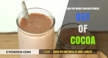 From Cocoa to Chocolate Milk: A Simple Guide