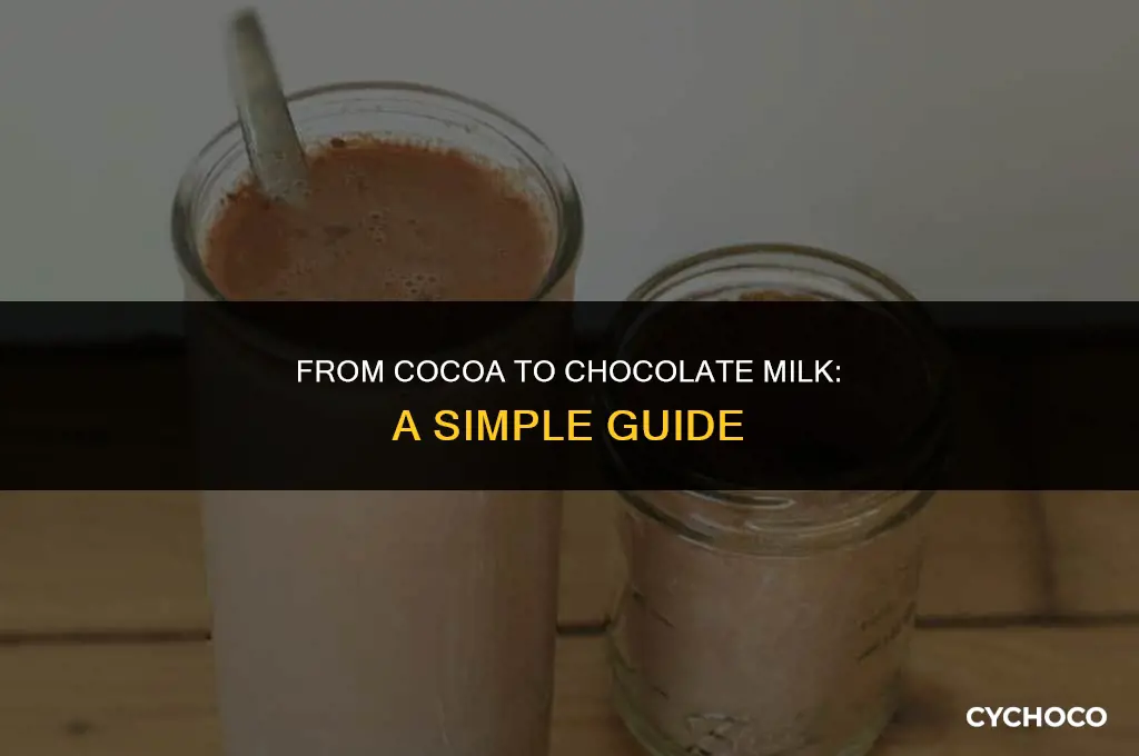 can you make chocolatemilk out of cocoa
