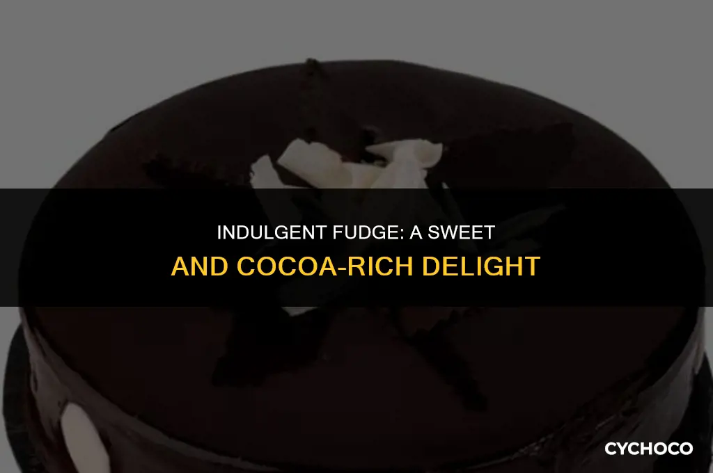 can you make fudge cocoa and sweet