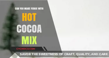 Sweet Experiments: Crafting Fudge with Hot Cocoa Mix