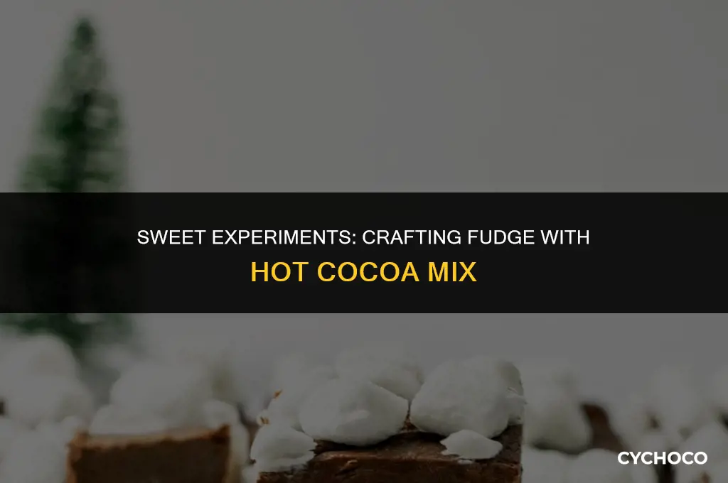 can you make fudge with hot cocoa mix