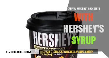 Sweet Treats: Crafting the Perfect Hot Chocolate with Hershey's Syrup