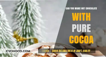 Rich and Decadent: Making Hot Chocolate with Pure Cocoa