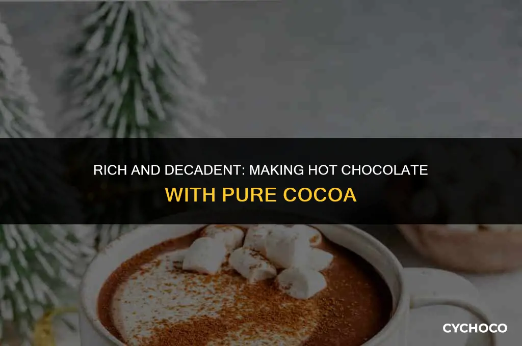can you make hot chocolate with pure cocoa
