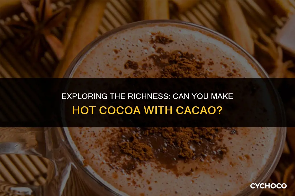 can you make hot cocoa with cacao