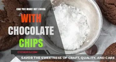 Can You Make Hot Cocoa with Chocolate Chips? A Sweet Experiment